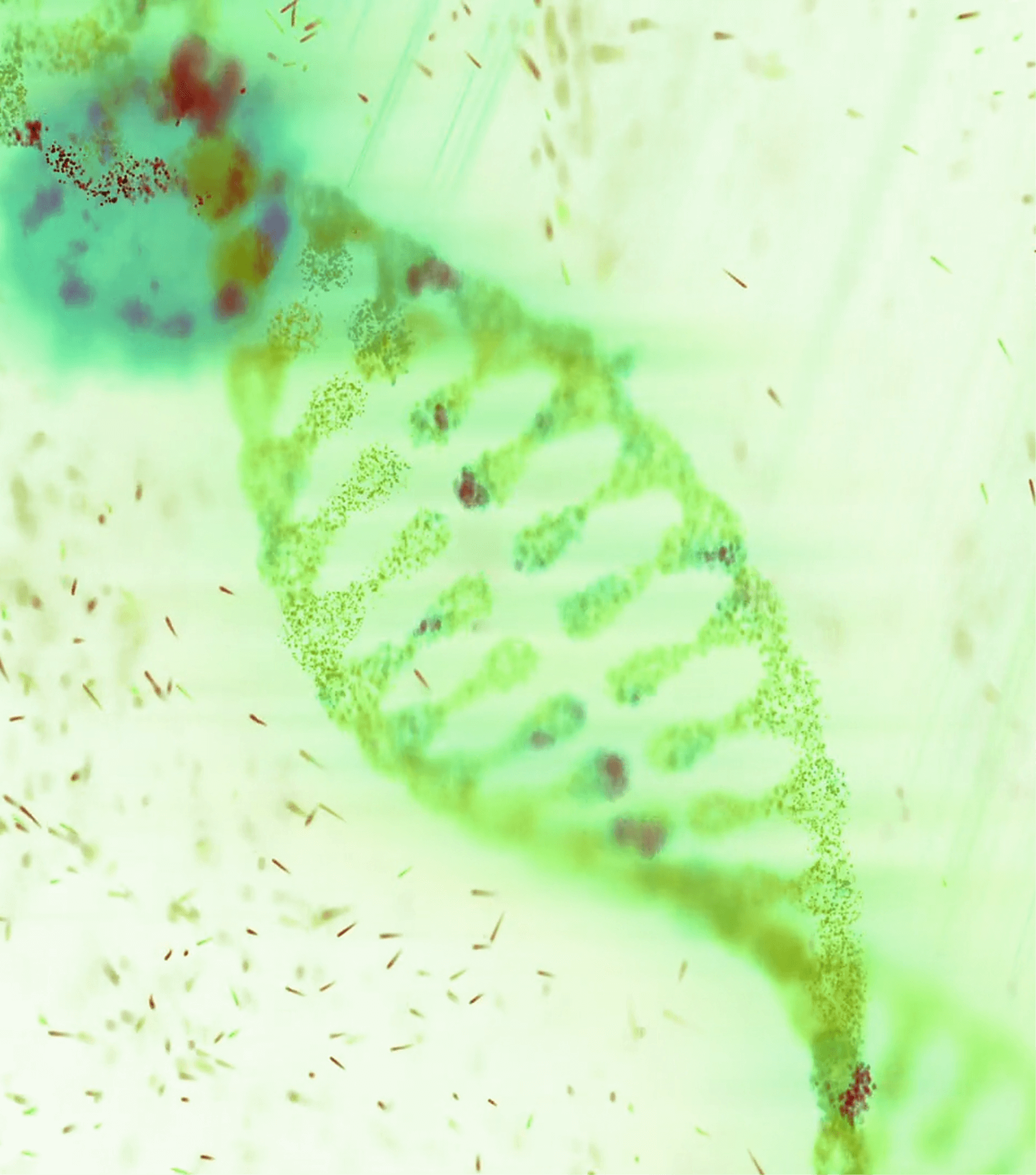 Professional Experience